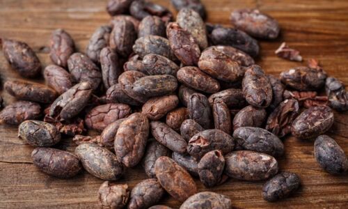 fave di cacao benefici